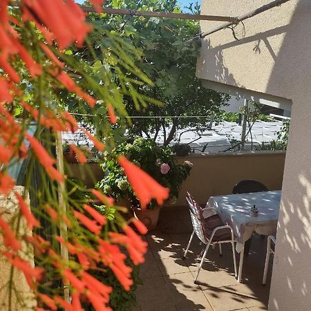 Guesthouse Anna ドゥブロブニク エクステリア 写真