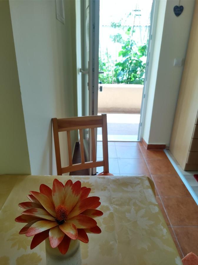 Guesthouse Anna ドゥブロブニク エクステリア 写真