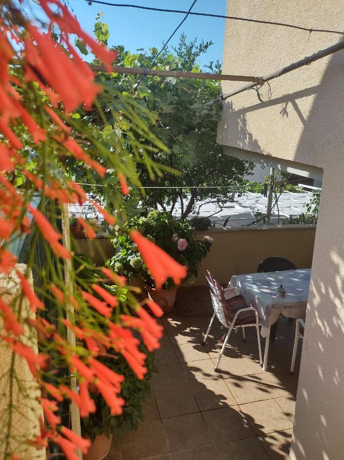 Guesthouse Anna ドゥブロブニク エクステリア 写真
